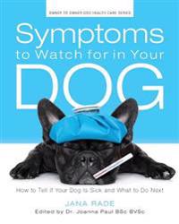 Symptoms to Watch for in Your Dog: How to Tell If Your Dog Is Sick and What to Do Next