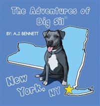 Kirjan kansi "The Adventures of Big Sil New York, NY: Children's Book"