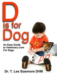 Easy Guide to Veterinary Care