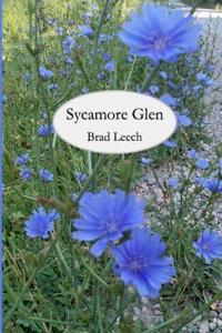 Sycamore Glen