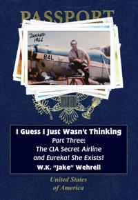 I Guess I Just Wasn't Thinking: Part Three