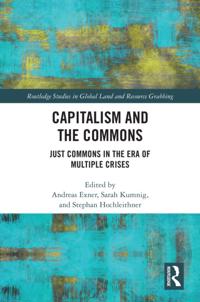 Routledge Studies in Global Land and Resource Grabbing