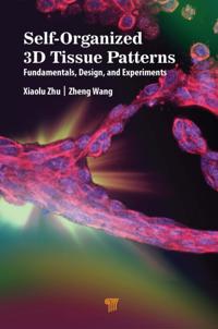 Self-Organized 3D Tissue Patterns