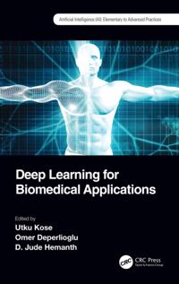 Artificial Intelligence (AI): Elementary to Advanced Practices