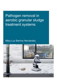 IHE Delft PhD Thesis Series