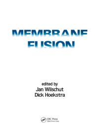 Membrane Fusion