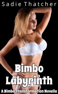 Bimbo Labyrinth