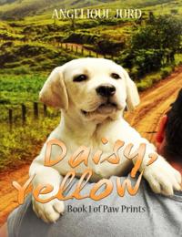 Daisy, Yellow