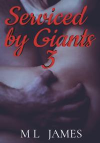 Serviced by Giants 3