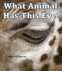 What Animal Has This Eye?