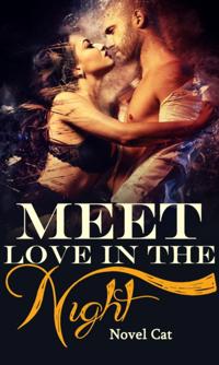 Meet Love In The Night (Book 1)