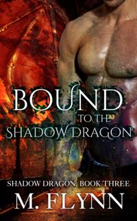 Bound to the Shadow Dragon: Shadow Dragon Book 3 (Dragon Shifter Romance)