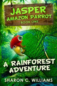 Rainforest Adventure