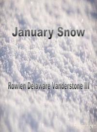 January Snow