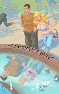 Perfect Wife