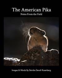 The American Pika