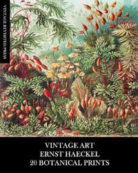 Vintage Art