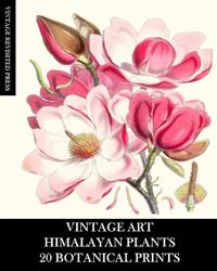 Vintage Art