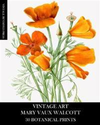 Vintage Art
