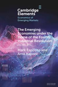 Elements in the Economics of Emerging Markets