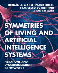 Symmetries of Living and Artificial Intelligence Systems