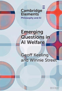 Emerging Questions in AI Welfare