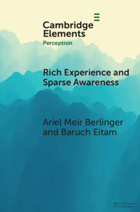 Rich Experience and Sparse Awareness