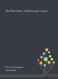The Plant Stem