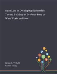 Open Data in Developing Economies