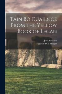 Bokomslag för "Táin Bó Cúailnce from the Yellow Book of Lecan"