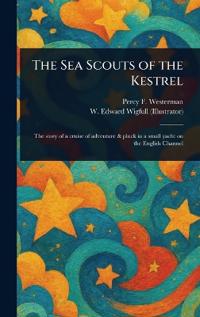 The Sea Scouts of the Kestrel