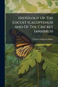 Bokomslag for "Histology Of The Locust (caloptenus) And Of The Cricket (anabrus)"