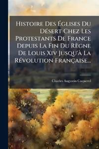 Histoire Des Églises Du DÃ(c)sert Chez Les Protestants De France Depuis La Fin Du Règne De Louis Xiv Jusqu'à La RÃ(c)volution Française...
