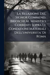 Bokomslag för "La Relazione Del Signor Commend. Brioschi Al Ministro Correnti Sopra Le Condizioni Materiali Dell'universita' Di Roma"