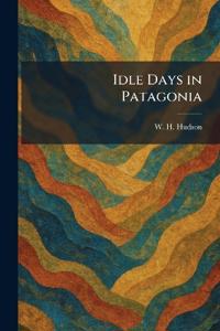 Idle Days in Patagonia