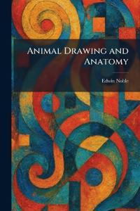 Animal Drawing and Anatomy