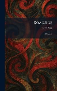 Kirjan kansi "Roadside"