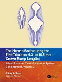 Bokomslag för "The Human Brain during the First Trimester 6.3- to 10.5-mm Crown-Rump Lengths"