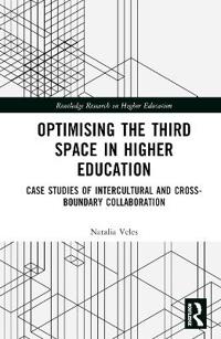 Optimising the Third Space in Higher Education