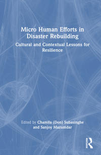 Micro Human Efforts in Disaster Rebuilding