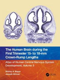Bokomslag för "The Human Brain during the First Trimester 15- to 18-mm Crown-Rump Lengths"