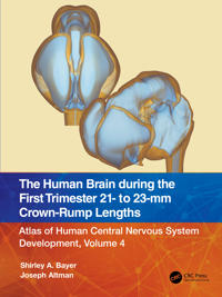 Bokomslag för "The Human Brain during the First Trimester 21- to 23-mm Crown-Rump Lengths"