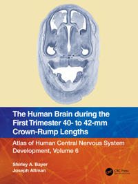 Bokomslag för "The Human Brain during the First Trimester 40- to 42-mm Crown-Rump Lengths"