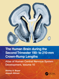 Bokomslag för "The Human Brain during the Second Trimester 190– to 210–mm Crown-Rump Lengths"