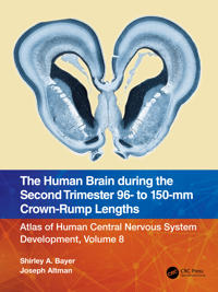 Bokomslag för "The Human Brain during the Second Trimester 96– to 150–mm Crown-Rump Lengths"