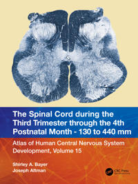 Bokomslag för "The Spinal Cord during the Middle Second Trimester through the 4th Postnatal Month 130- to 440-mm Crown-Rump Lengths"
