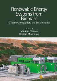 Bokomslag for "Renewable Energy Systems from Biomass"