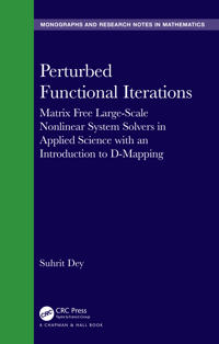 Perturbed Functional Iterations