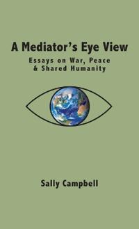 A Mediator's Eye View