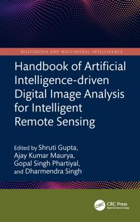 Handbook of Artificial Intelligence-driven Digital Image Analysis for Intelligent Remote Sensing